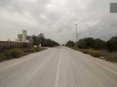 ...e svoltiamo dopo 500 metri sulla sinistra in via dei Fiordalisi